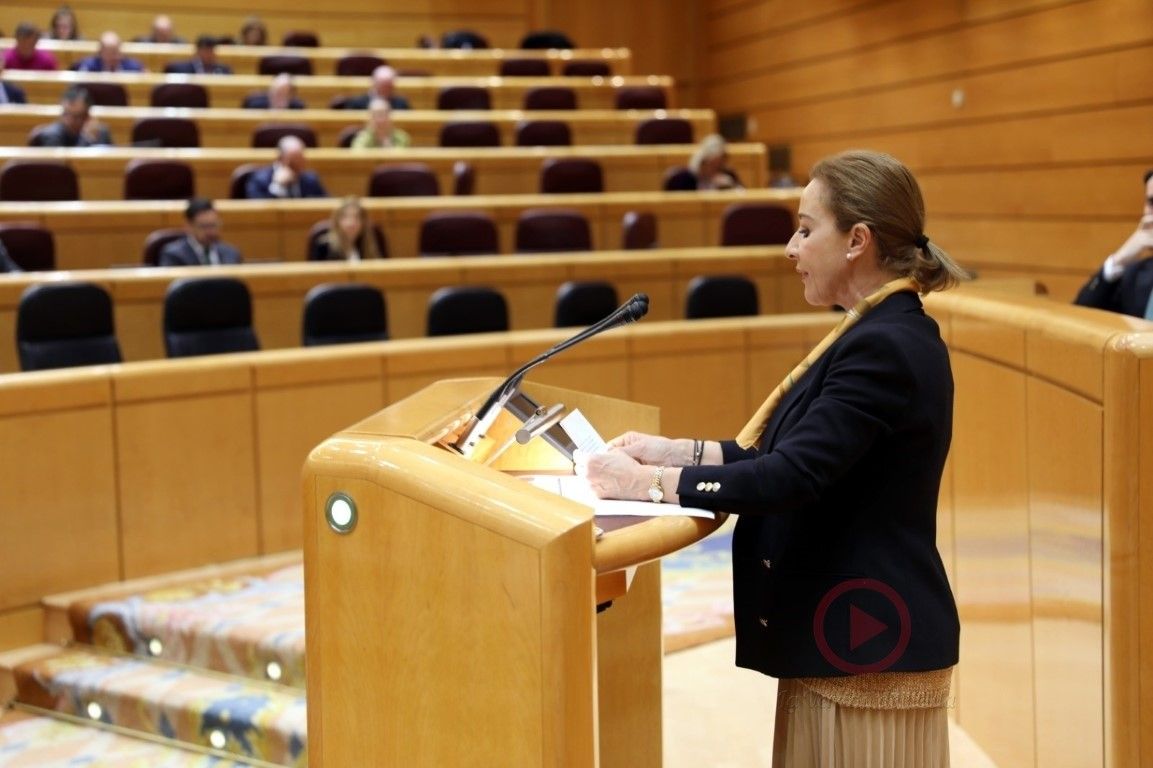 Merelo reprocha al Gobierno su nefasta gestión de la pandemia y exige un reparto justo de los fondos de la UE